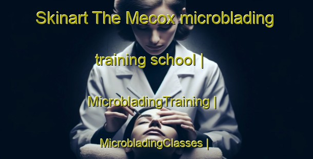 Skinart The Mecox microblading training school | MicrobladingTraining | MicrobladingClasses | SkinartTraining-United States
